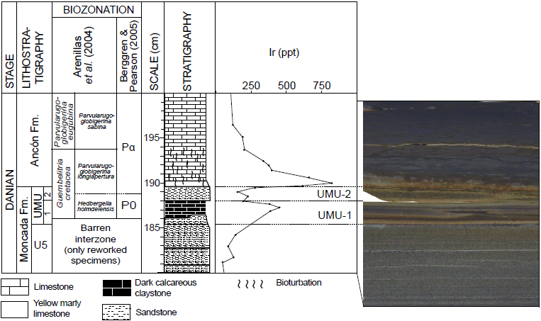 Detail of the Ir concentration profile and polished-section of the uppermost CCU (subunit U5), K/Pg boundary clay bed (UMU) and lowermost Ancón Fm. (according to Tada et al., 2002).