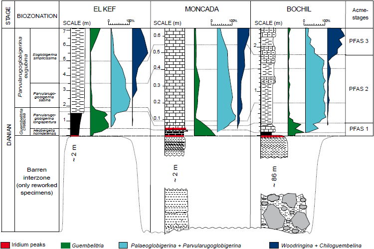 Comparison of relative abundance of Planktonic Foraminiferal Groups and Acme Stages (PFAS) in the lowermost part of the Danian at El Kef, Moncada and Bochil.