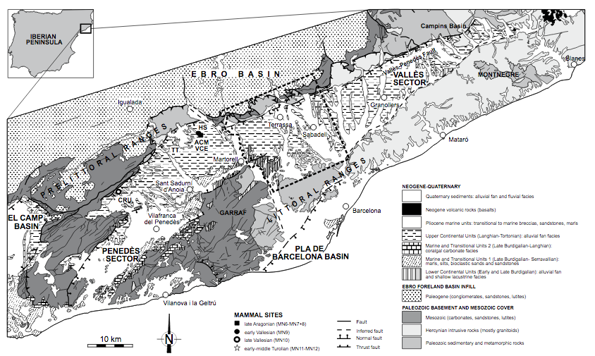 Simplified geological map of the Vall&egrave;s-Pened&egrave;s Basin with major Miocene mammal sites (modified from Institut Cartogr&agrave;fic i Geol&ograve;gic de Catalunya, 2015). The area enclosed by the dashed perimeter is shown in detail in Figure 2. ACM: Abocador de Can Mata; CRU: Can Cruset; HS: Hostalets Superior; TT: Torrentet de Traginers; VCE: Variant de la Carretera de l&rsquo;Ecoparc.