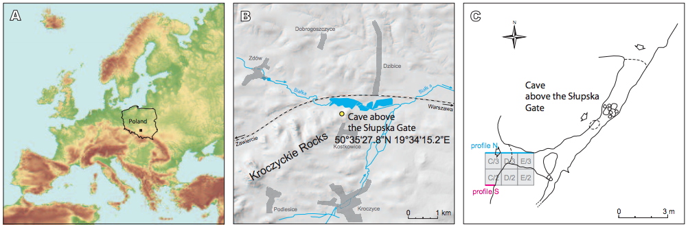 A, B) Localisation of the Cave above the Słupska Gate. C) Plan of the cave with situation of archaeological trench in 2012.
