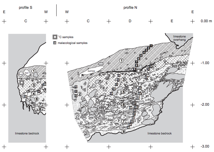 Geological cross-section through the sedimentary fill of the Cave above the Słupska Gate (profiles S and N of archaeological trench). For lithological description see Table 1.