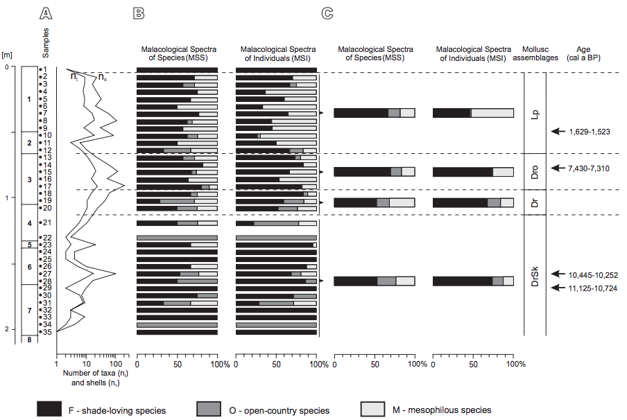 Ecological composition of molluscs in the Cave above the Słupska Gate. A) Numbers of taxa and shells per sample. B) Malacological spectra of individual samples. C) Malacological spectra of mollusc assemblages. Mollusc assemblages, DrSk: assemblage with Discus ruderatus and Semilimax kotulae; Dr: assemblage with Discus ruderatus; Dro: assemblage with Discus rotundatus; Lp: assemblage with Laciniaria plicata.