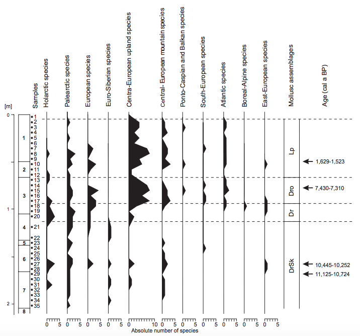 Zoogeographical distribution of molluscs from the Cave above the Słupska Gate. Zoogeographical groups after Alexandrowicz and Alexandrowicz (2011).