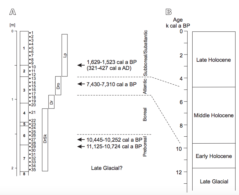 A) Stratigraphy and succession of molluscan fauna in the Cave above the Słupska Gate. B) Holocene subdivision according to Starkel et al. (2013). Mollusc assemblages, DrSk: assemblage with Discus ruderatus and Semilimax kotulae; Dr: assemblage with Discus ruderatus; Dro: assemblage with Discus rotundatus; Lp: assemblage with Laciniaria plicata.