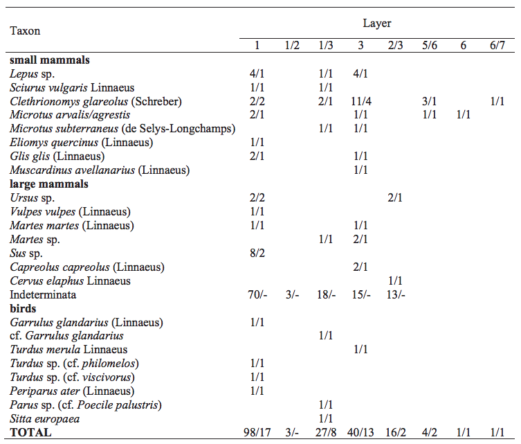 Vertebrate remains from Quaternary sediments of the Cave above the Słupska Gate: Number of Identified Specimens/Minimum Number of Individuals (NISP/MNI). Slashed numbers among layer numbers (e.g. 1/2) are used for the boundaries between the layers