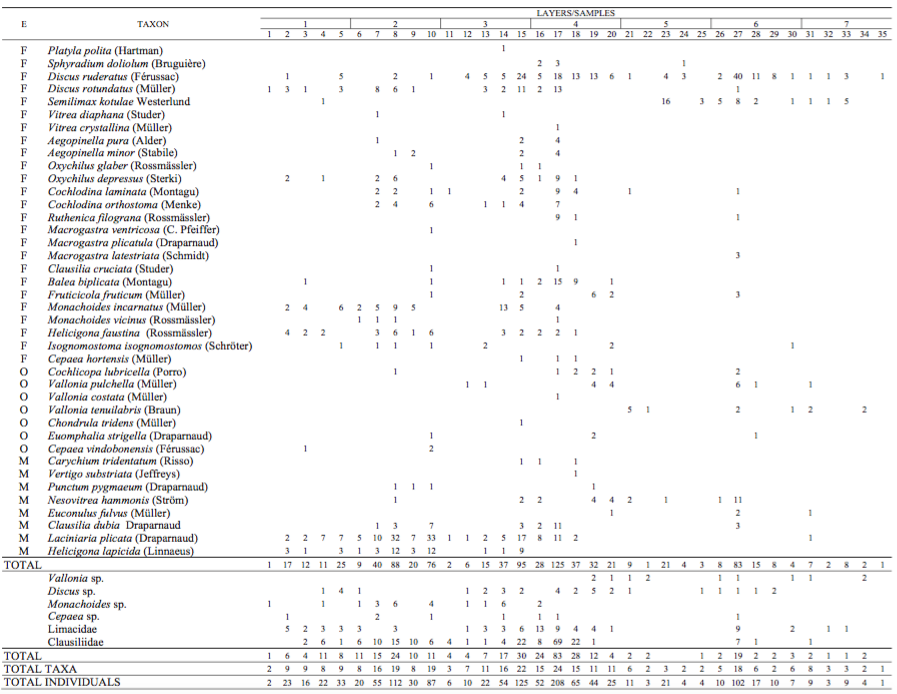 Molluscs from Quaternary sediments of the Cave above the Słupska Gate. E: ecological groups (after Alexandrowicz and Alexandrowicz, 2011), F: shade-loving taxa, O: open-country taxa, M: mesophilous taxa