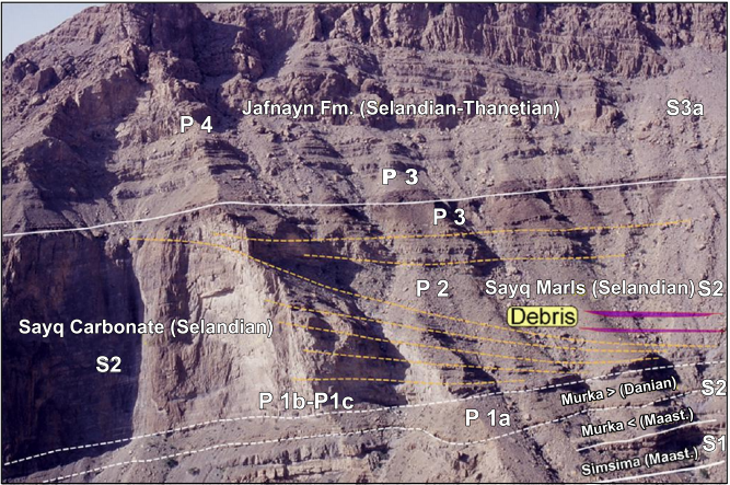 Field view of the Tiwi Plateau cliff indicating the lithostratigraphic units, depositional sequences (S) and planktonic foraminifer biozones.
