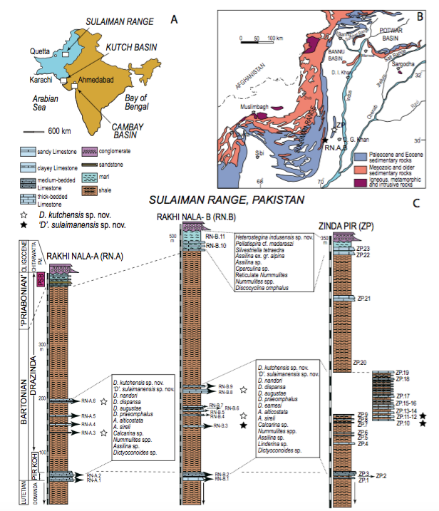 A) Location of the Sulaiman Range, Kutch and Cambay basins in Pakistan and India. B) Simplified geological map of the Sulaiman Range and position of studied sections. C) Generalised stratigraphy and the sampling points in the Drazinda Fm. Stratigraphic nomenclature is after Hemphill and Kidwai (1973). The geological map is simplified from Kazmi and Rana (1982). PSB: ‘Pellatispira’ beds.