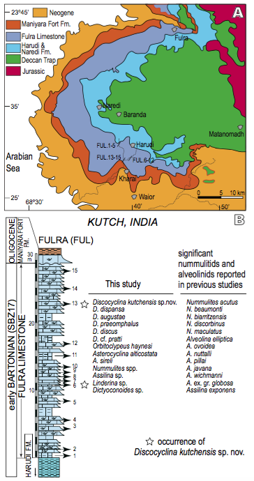 A) Simplified geological map of the western part of Kutch, west India. B) Generalised stratigraphy and the sampling points in the Fulra Limestone. Stratigraphic nomenclature and geological map are after Biswas (1992). SBZ: Shallow Benthic Zone (after Serra-Kiel et al., 1998). The nummulitids and alveolinids reported in previous studies are from various sources.