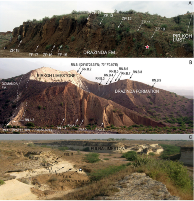 Outcrops of the Drazinda Fm. in A) Zinda Pir and B) Rakhi Nala and C) Fulra Limestone in Kutch. The samples in the Fulra Limestone correspond to the middle part of the unit, where the type-level of D. kutchensis sp. nov. is marked by a star (sample FUL. 6). The type-level of ‘D’.sulaimanensis sp. nov. is shown by a star (A).
