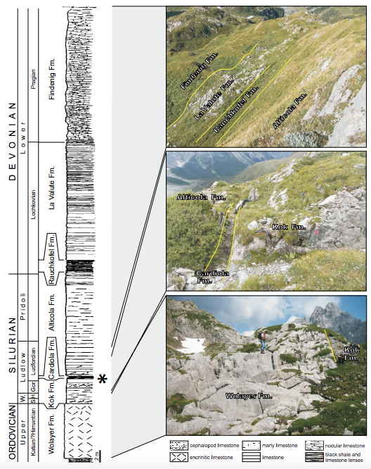 Chronostratigraphy, lithostratigraphy, stratigraphical log (modified after Schönlaub, 1980) and selected views of the Rauchkofel Boden Section. The asterisk indicates the level from which the studied material was collected. Gor.: Gorstian; H.: Homerian; S.: Sheinwoodian; W.: Wenlock.