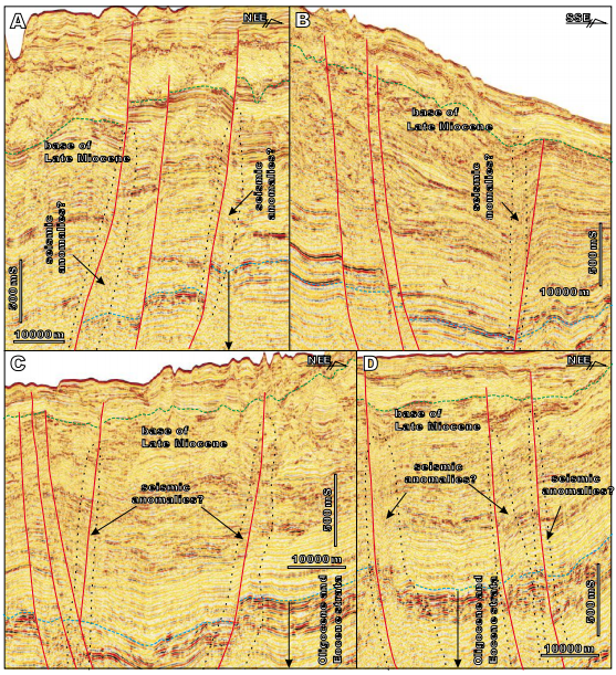 Characteristics of large-scale faults in the Shenhu area through the 2D seismic profiles. These faults, with WE/SEE orientations, are distributed in the North and Northeast of the Shenhu area and could not be observed in the gas hydrate drilling area (see Fig. 1B for the distributions). Some seismic anomalies related to these faults were attributed to be the vertical migrations of gases/fluids from the deep strata. The locations of the seismic profiles were marked on Figure 1B.