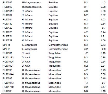 Sr/Ca ratios of the ungulate dental enamel samples from R. II