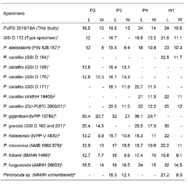Dental measurements of Percrocuta carnifex, in millimeters. Data from Pilgrim (1932)1,Colbert (1935)2, Ghaffar et al., (2011)3, Howell and Petter (1985)4 and Kurt&eacute;n (1957)5