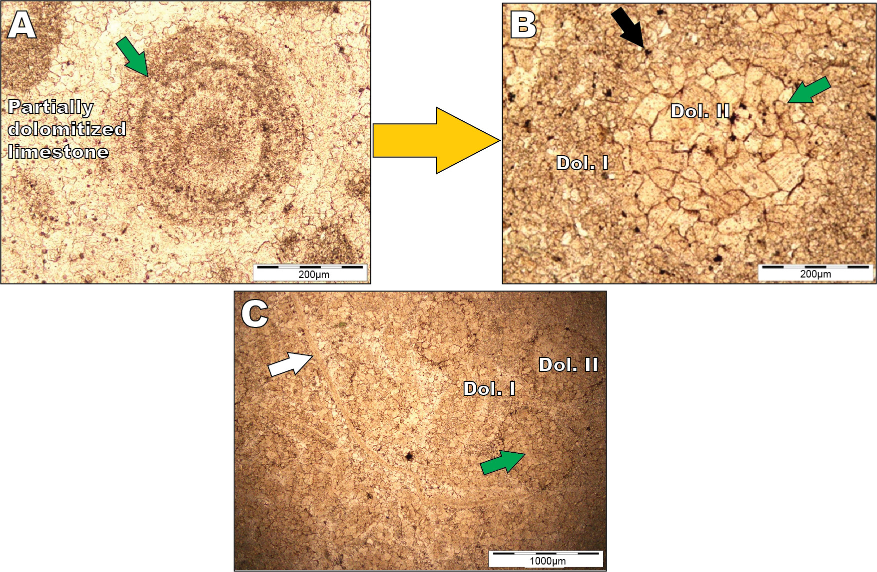 Sedimentary  facies  precursors  and  diagenetic  modifications  observed  in  the  studied  rocks  (Photomicrographs,  PPL):