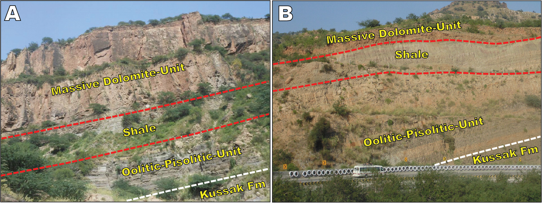 Field photographs of Jutana Formation (Fm.) in the eastern Salt Range: