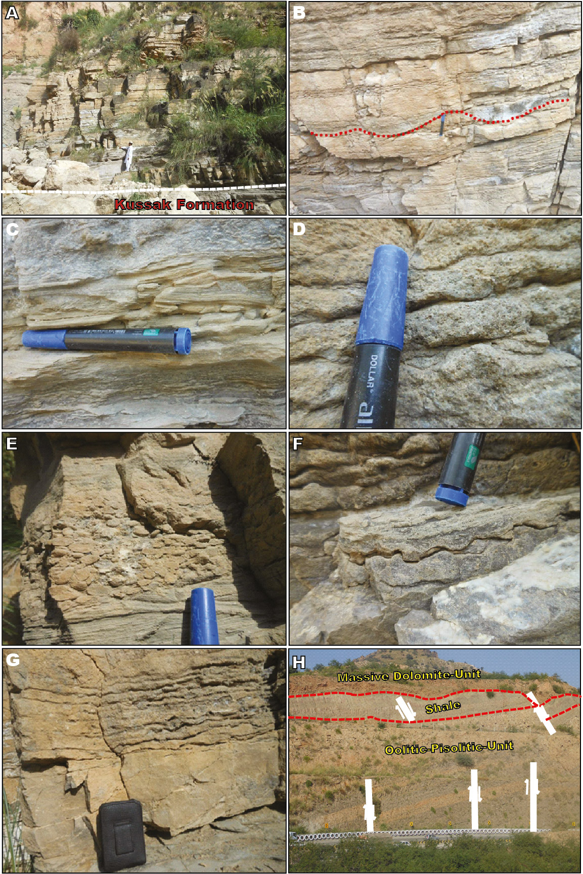 Detailed field characteristics of the Jutana Formation: