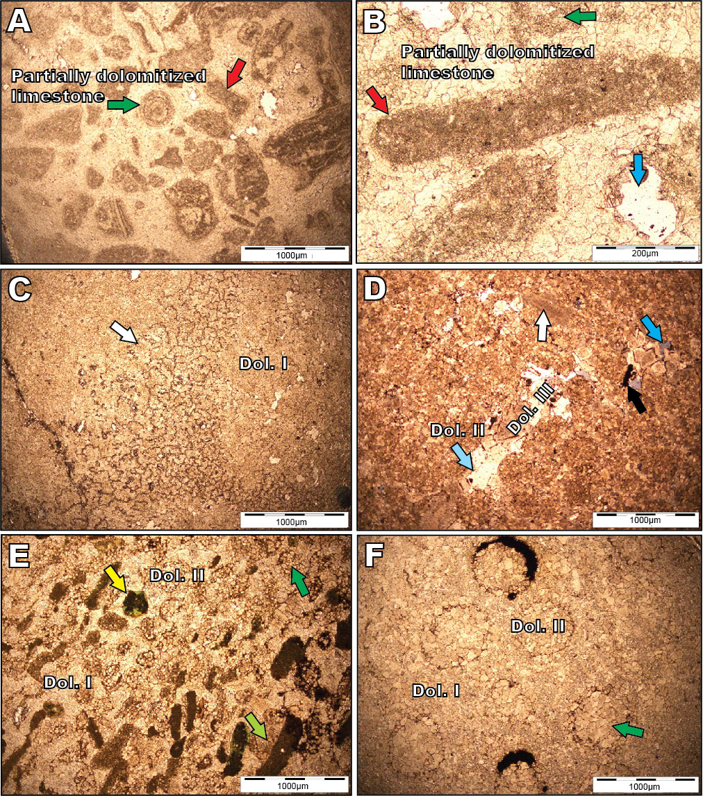 Petrographic characteristics of the studied Jutana Formation (Photomicrographs, Plane-Polarized Light, PPL):