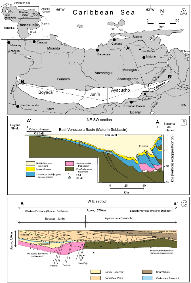 A) Location map of the Faja Petrolífera del Orinoco “Hugo Chávez” (FPOHCh, in white) and sampling area in the Carabobo area, modifiedfrom Martinius et al. (2012) and Petroleos de Venezuela S.A.-Corporación Venezolana del Petróleo (2013). Continuous lines are rivers and creeks;thin dashed lines are the Venezuela states boundaries. B) NW-SE schematic cross section, modified from Schenk et al. (2009), see A) for location:A–A’ dashed path. C) W-E cross section, modified from Audemard et al. (1985), see A) for location: B–B’ dashed path.