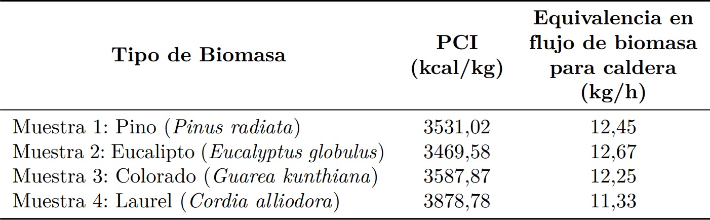 Datos t&eacute;cnicos de la caldera seleccionada [9]