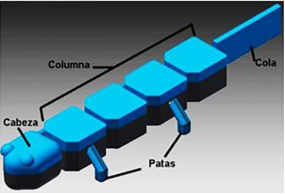 Cuerpo completo del robot salamandra. La cabeza y la cola son elementos que replican la morfolog&iacute;a de la salamandra real, sin embargo, estos elementos no contribuyen a la din&aacute;mica de movimiento del robot.