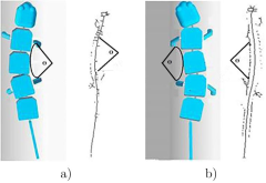Comparaci&oacute;n de movimiento del robot con una salamandra real. (a) &Aacute;ngulo flexi&oacute;n derecha. (b) &Aacute;ngulo flexi&oacute;n izquierda.