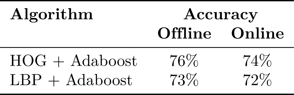 Detection precision of the algorithms previously trained.
