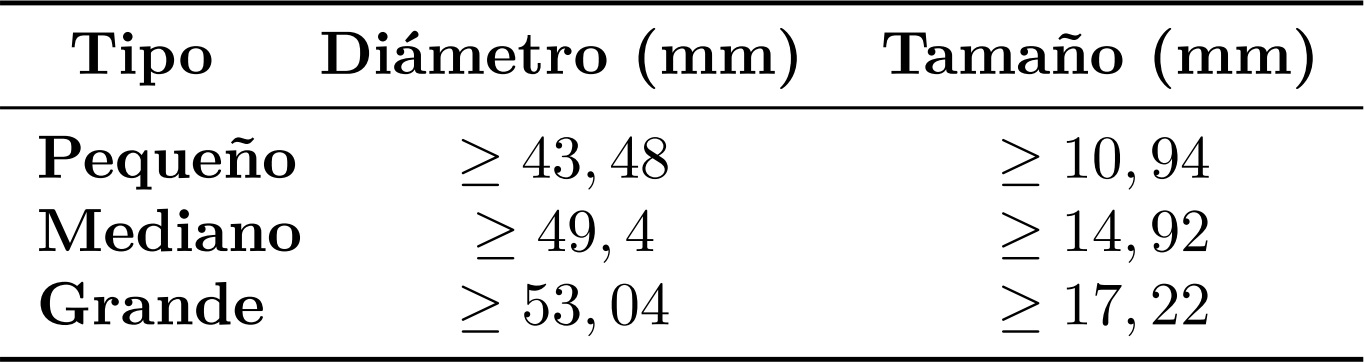 Dimensiones de las mazorcas de maíz.