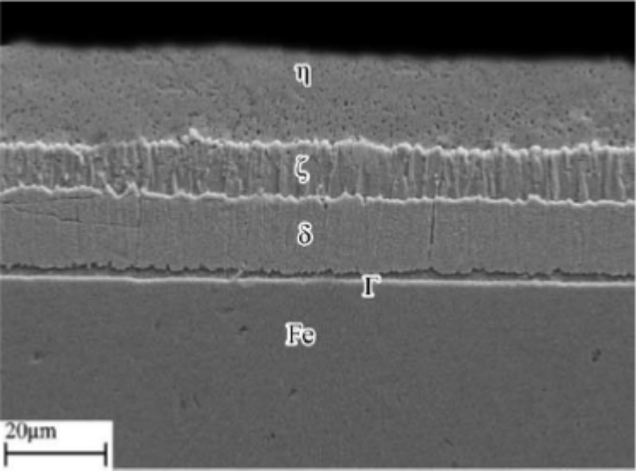Microestructura del recubrimiento de Zn, por
  un tiempo de inmersi&oacute;n de 3 minutos [6].  