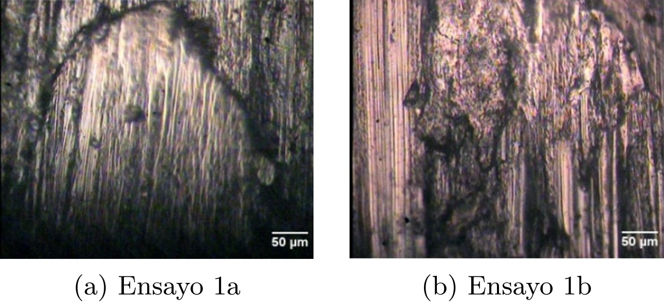Micrograf&iacute;as obtenidas por microscop&iacute;a
  &oacute;ptica a 200x de la huella de desgaste del experimento 1 del acero AISI 304.