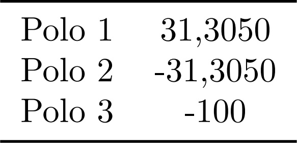 Polos del sistema de levitación magnética