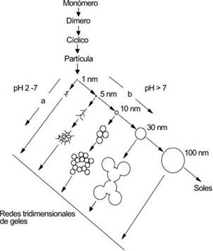 Representaci&oacute;n esquem&aacute;tica del proceso sol-gel, tomado
  de [6].