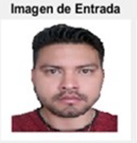 Imagen de entrada original.  