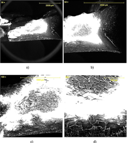 Resina fotopolimrica, material matriz de los materiales compuestos. a) 26X, b) 50X, c) 100X y d) 250X.