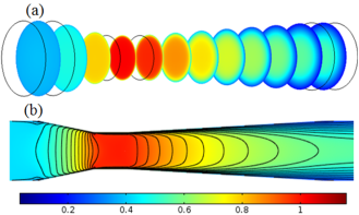 Distribución de velocidad (m⁄s). (a) En la sección transversal, y (b) Proyectado en el plano.