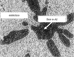 Microestructuras de la capa externa de los recubrimientos Z6A (a) y Z6AMS (b). [12]
