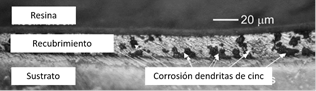 Microestructura del recubrimiento Zn-4,5Al donde se observa el ataque preferencial a las dendritas de zinc. [25]