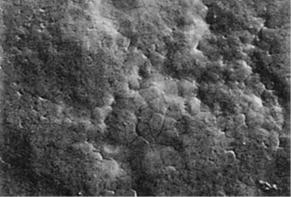 Morfolog&iacute;a superficial por MEB de los recubrimientos formados sobre aceros de bajo carbono por inmersi&oacute;n en caliente en dos etapas Z6A (a) y Z6AMS (b). [12]