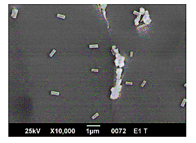 Micrograf�a SEM mostrando precipitados de Al6-7Mn en muestras DC