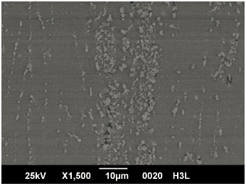Micrograf�as SEM mostrando la LSC para el material homogeneizado
