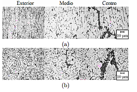 Micrograf�as OM mostrando la microestructura de las muestras H CI de la aleaci�n AA3003: (a) direcci�n de laminado, (b) direcci�n transversal