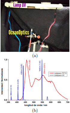 (a) Montaje experimental con la sonda de luz (Ocean Optics). (b) Espectro de emisi�n de una l�mpara de luz blanca (l�mpara TETO) y luz UVC (l�mpara UV). Picos de emisi�n en la regi�n de inter�s, por debajo de 400 nm