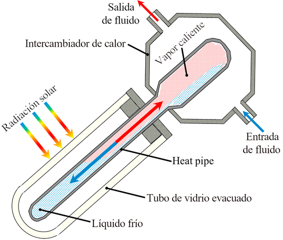 Vista transversal de un colector de tubos del tipo heat-pipe[21]