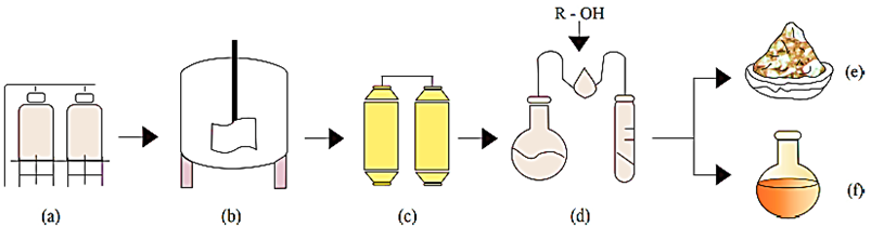 Proceso de transesterificaci&oacute;n; (a) catalizador, (b) rector con aceite, (c) acondicionamiento, (d) purificaci&oacute;n, (e) sales y (f) biodi&eacute;sel