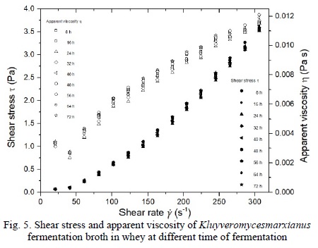 Shear stress and apparent viscosity of Kluyveromycesmarxianus
fermentation broth in whey at different time of fermentation