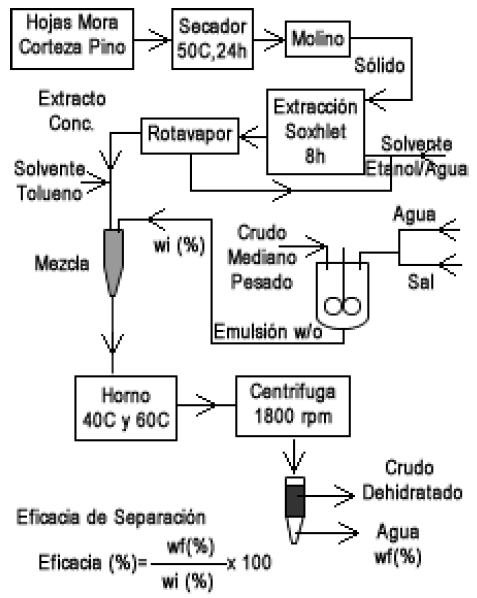 Esquema de la metodologa utilizada.