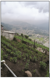 Vista del paisaje desde la huerta de una de las viviendas 