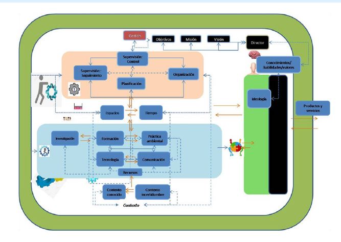 Cultura organizativa, la gesti�n propiamente dicha y el director