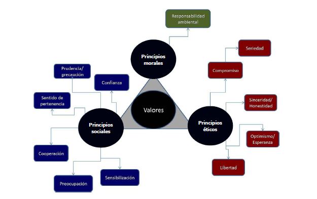 Valores dentro de la gesti�n de un festival de cine ambiental