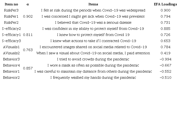 Factor loadings of exploratory factor analysis